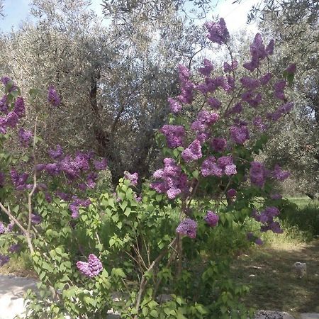Masseria Costanza Putignano Exteriér fotografie